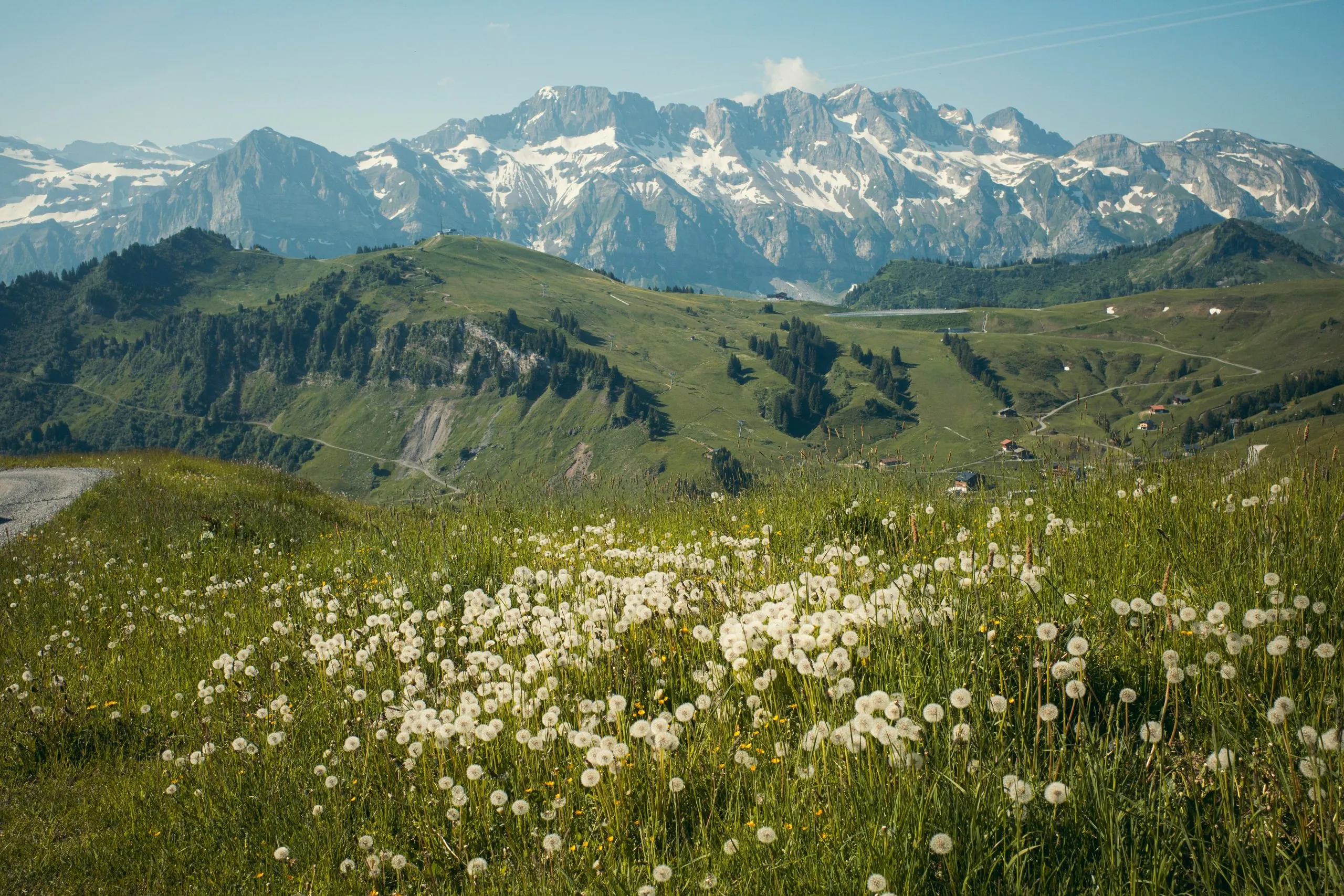 Contrat prévoyance obsèques Hautes-Alpes